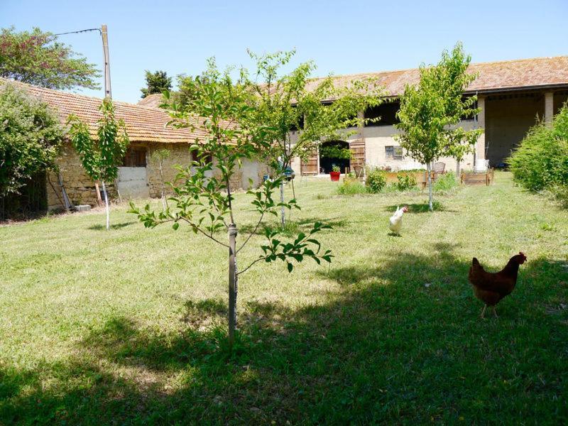 Ferme St Pierre 2 Suites Avec Repas, Piscine, Clim, Cheminee Ou Baignoire Spa Chabeuil Exterior photo